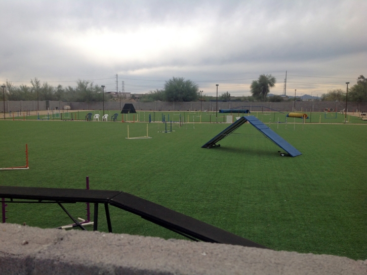 Fake Grass Ottawa, Kansas Backyard Sports, Recreational Areas