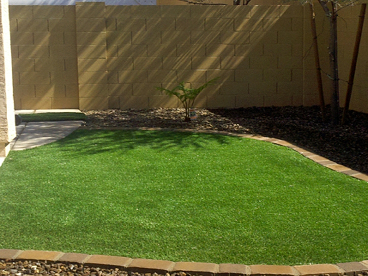 Fake Grass Park City, Kansas City Landscape, Backyard Garden Ideas