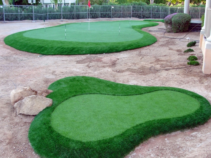 Fake Grass Rozel, Kansas Lawn And Garden, Front Yard Landscape Ideas