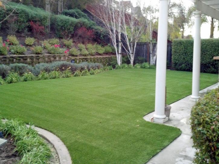 Fake Grass Saint George, Kansas Artificial Grass For Dogs, Backyard Landscape Ideas