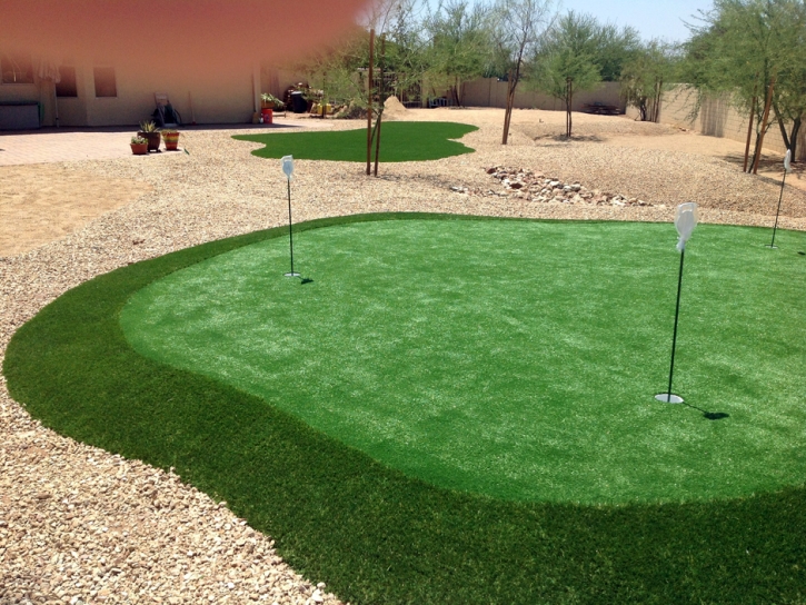 Fake Lawn Circleville, Kansas Putting Green, Small Backyard Ideas