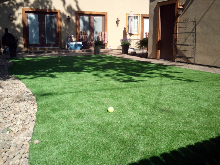 Fake Lawn Delphos, Kansas Garden Ideas, Backyard Ideas