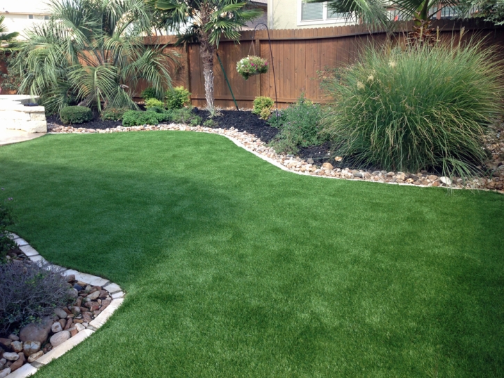 Fake Lawn Luray, Kansas Hotel For Dogs, Backyards