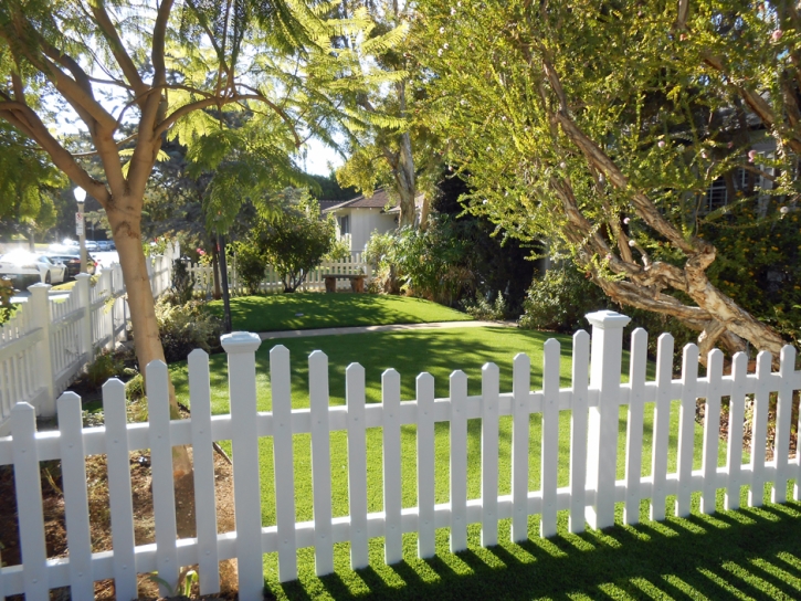 Fake Lawn Richmond, Kansas Garden Ideas, Front Yard