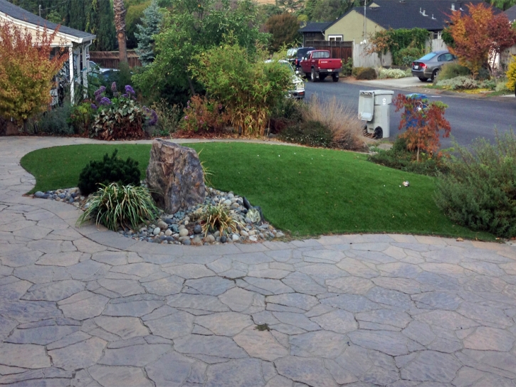 Fake Lawn Westwood Hills, Kansas Gardeners, Front Yard Landscape Ideas