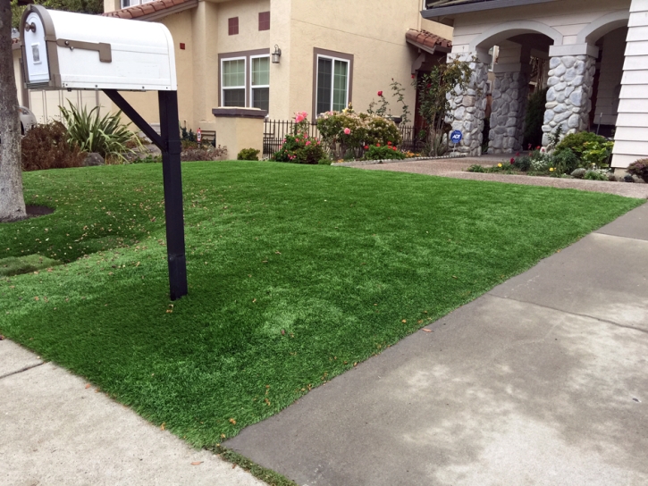 Fake Turf Colwich, Kansas Lawns, Front Yard Ideas