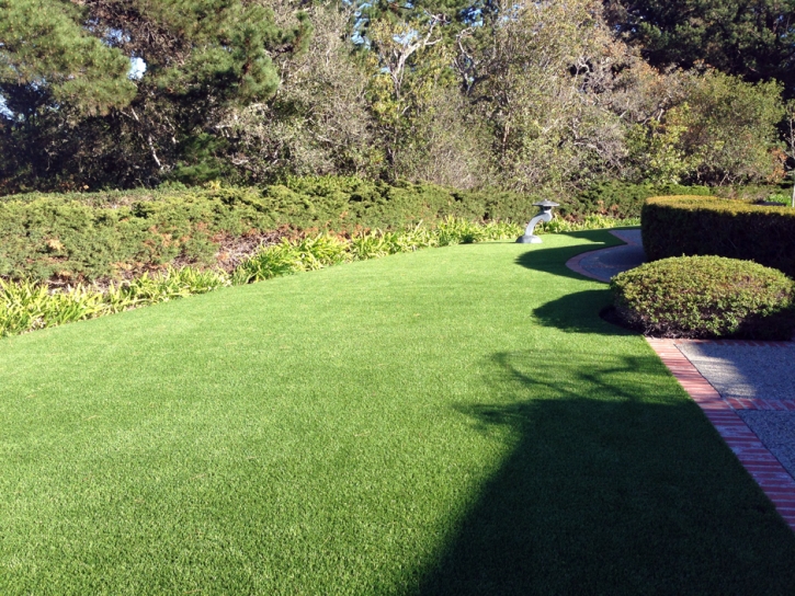 Fake Turf Hoisington, Kansas Roof Top, Small Front Yard Landscaping