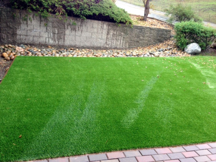 Fake Turf Moscow, Kansas Home And Garden, Front Yard Landscape Ideas