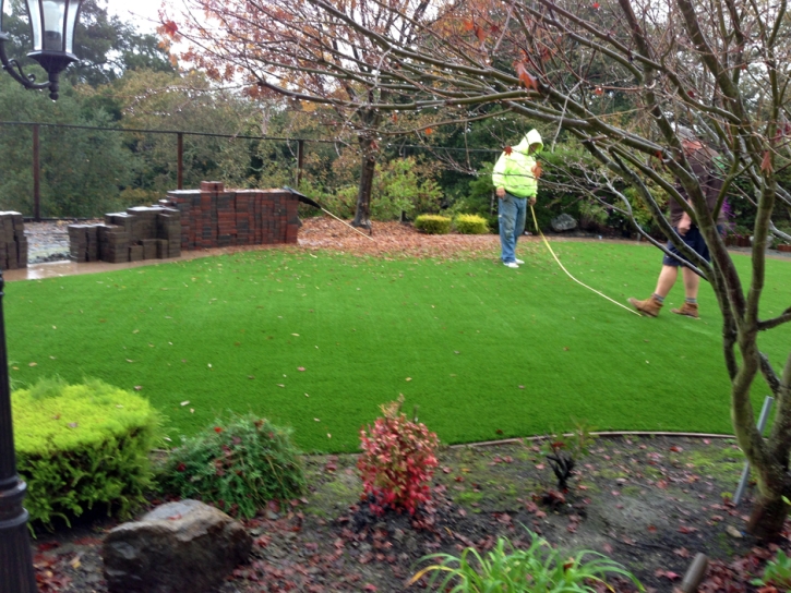 Fake Turf Oketo, Kansas Design Ideas, Backyard Design