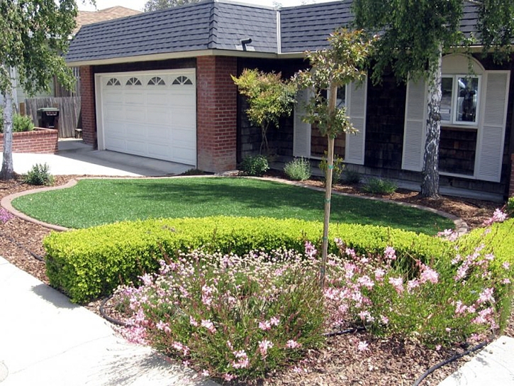 Faux Grass Eureka, Kansas Lawns, Front Yard Landscaping Ideas