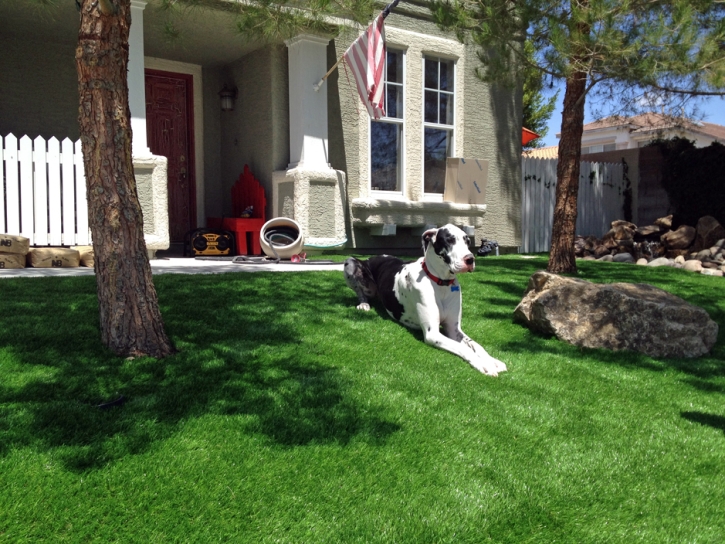Faux Grass Melvern, Kansas Home And Garden, Grass for Dogs