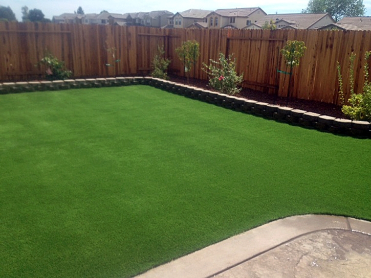 Faux Grass Roeland Park, Kansas Lawn And Garden, Backyard