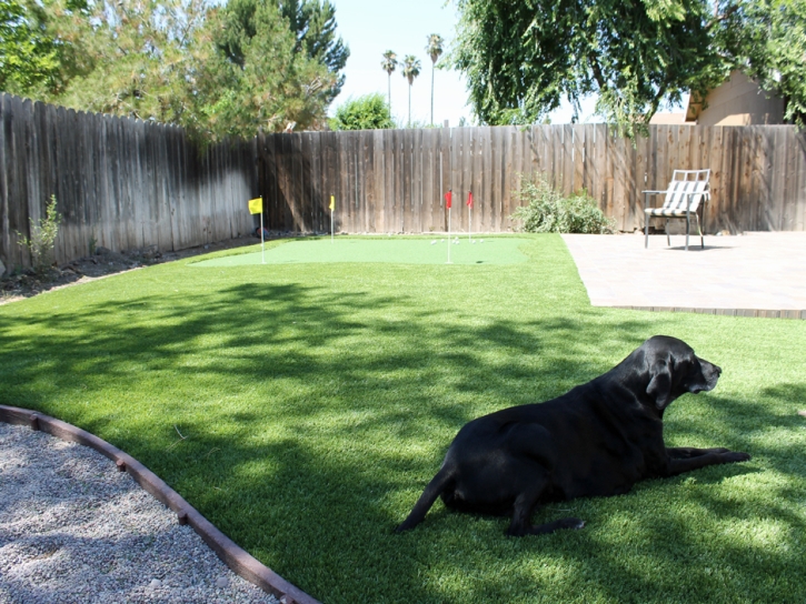 Faux Grass Toronto, Kansas Putting Green Grass, Backyard Landscape Ideas