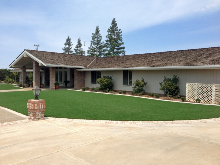 Faux Grass White City, Kansas Landscaping, Front Yard Design