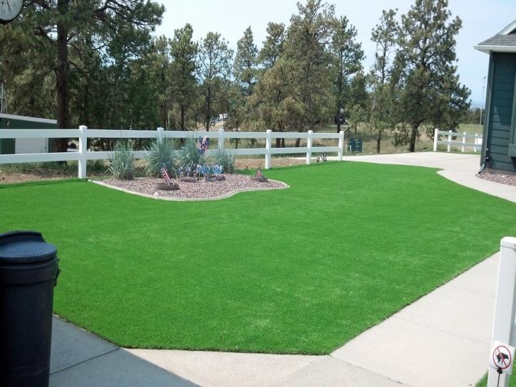 Grass Carpet Burden, Kansas Design Ideas, Front Yard Landscape Ideas