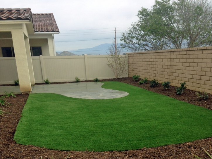 Grass Carpet Chase, Kansas Lawn And Landscape, Backyard Makeover