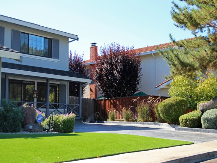 Grass Carpet Herndon, Kansas Design Ideas, Landscaping Ideas For Front Yard