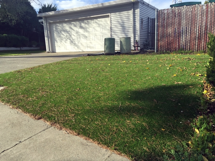 Grass Carpet Lindsborg, Kansas Rooftop, Small Front Yard Landscaping