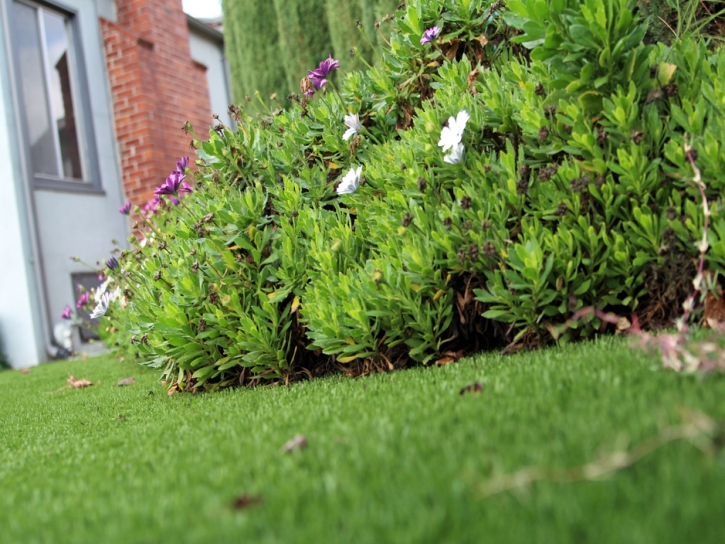 Grass Carpet Maize, Kansas Landscaping Business, Front Yard Design