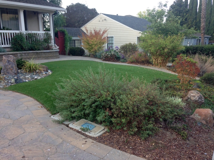 Grass Carpet Manter, Kansas Home And Garden, Front Yard