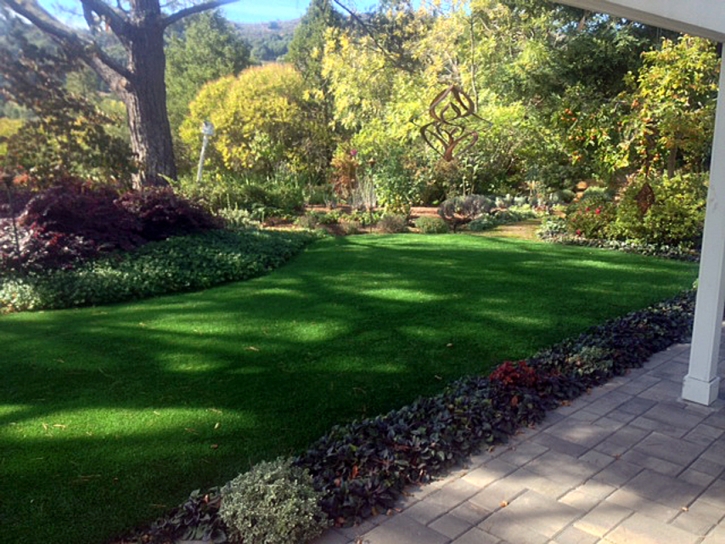 Grass Carpet Mission Woods, Kansas Lawns, Backyard Designs