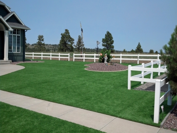 Grass Carpet Savonburg, Kansas Lawns, Backyard Garden Ideas