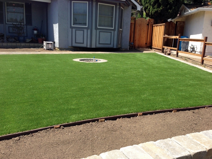 Grass Carpet Talmage, Kansas City Landscape, Front Yard