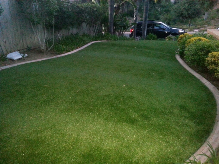 Grass Carpet Talmage, Kansas Lawn And Landscape, Front Yard Landscape Ideas