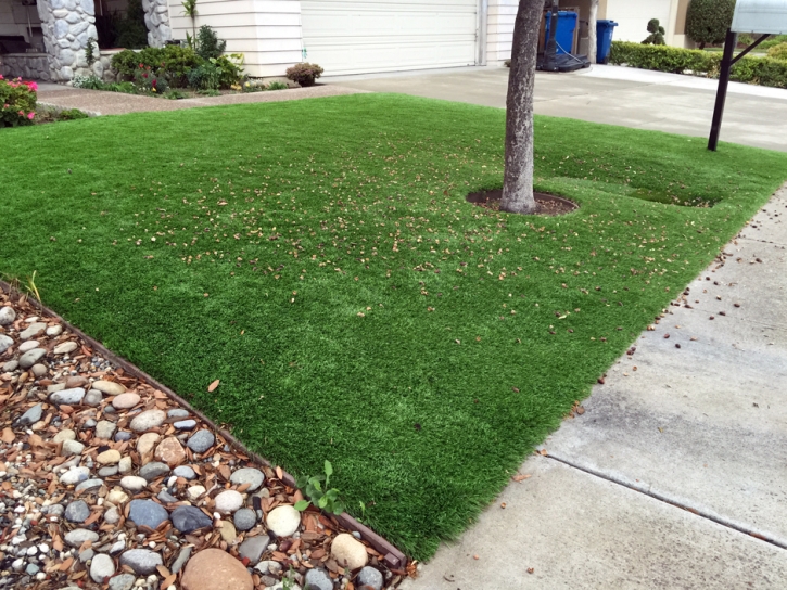 Grass Carpet Wellington, Kansas Landscape Ideas, Front Yard Landscape Ideas