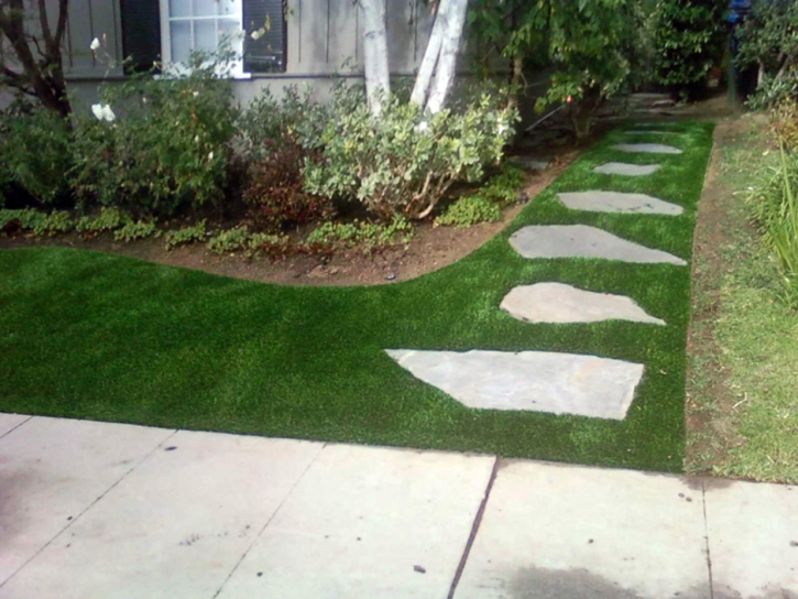 Grass Installation Agra, Kansas Rooftop, Small Front Yard Landscaping