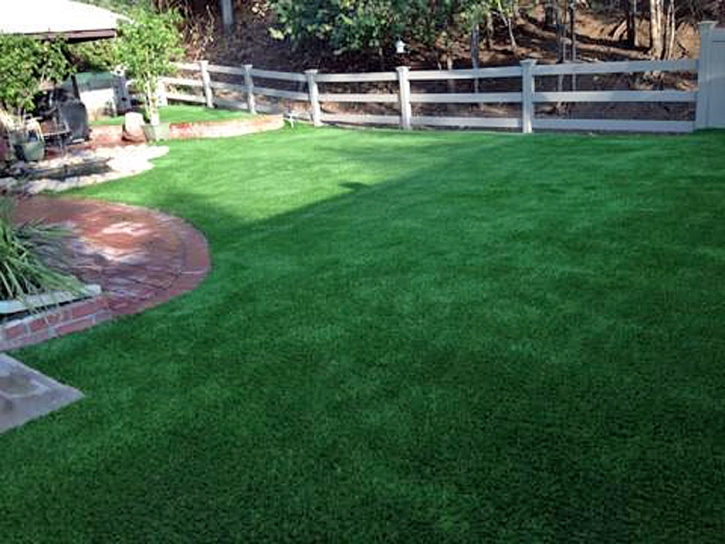 Grass Installation Horace, Kansas Pictures Of Dogs, Backyard Ideas