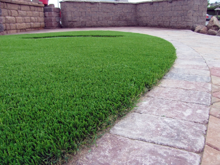 Grass Installation Zurich, Kansas Dog Park, Front Yard Design