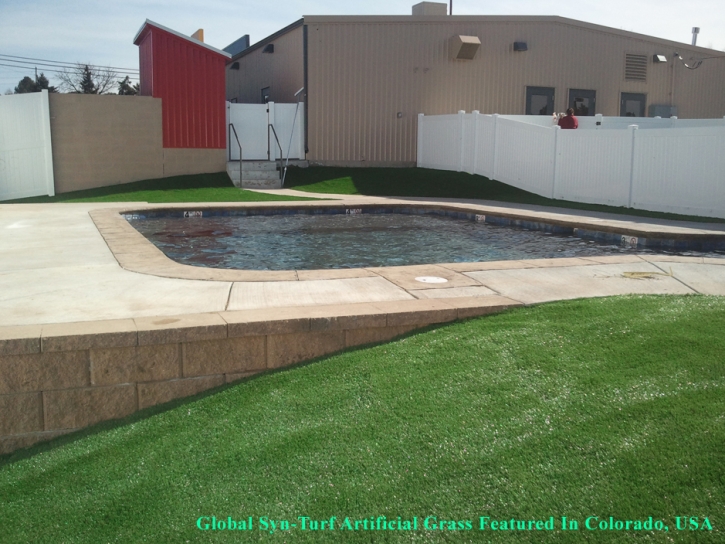 Grass Turf Andale, Kansas Landscape Photos, Natural Swimming Pools