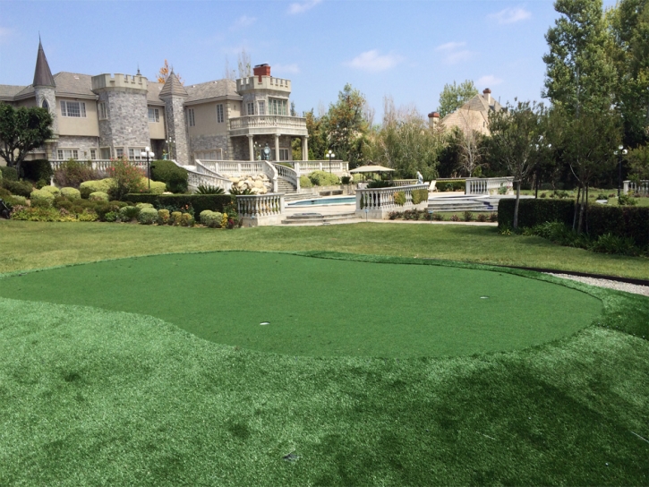 Grass Turf Cheney, Kansas Best Indoor Putting Green, Front Yard Ideas