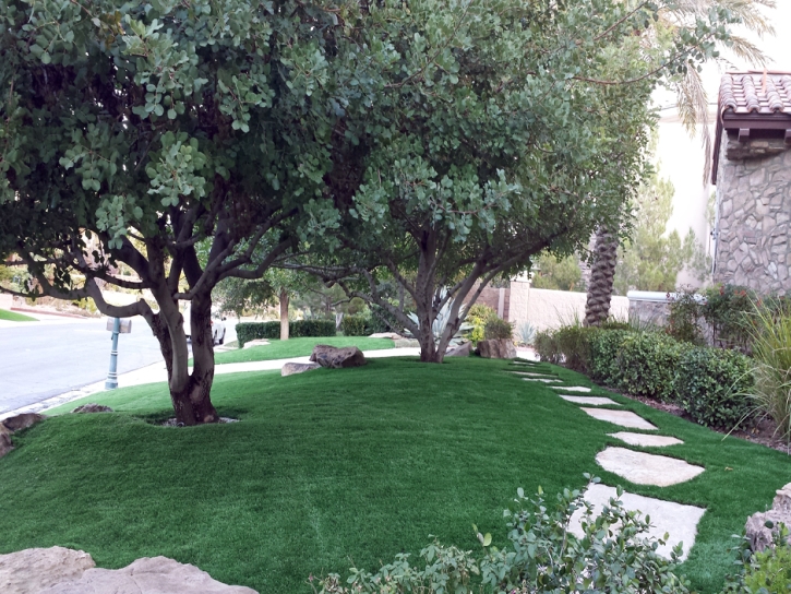 Grass Turf Lyndon, Kansas Landscaping Business, Front Yard Landscaping Ideas