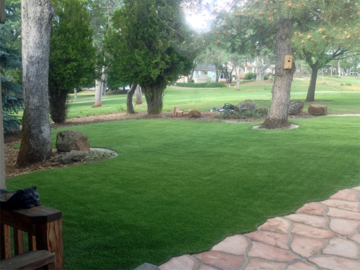 Grass Turf Neodesha, Kansas Design Ideas, Front Yard Landscaping Ideas