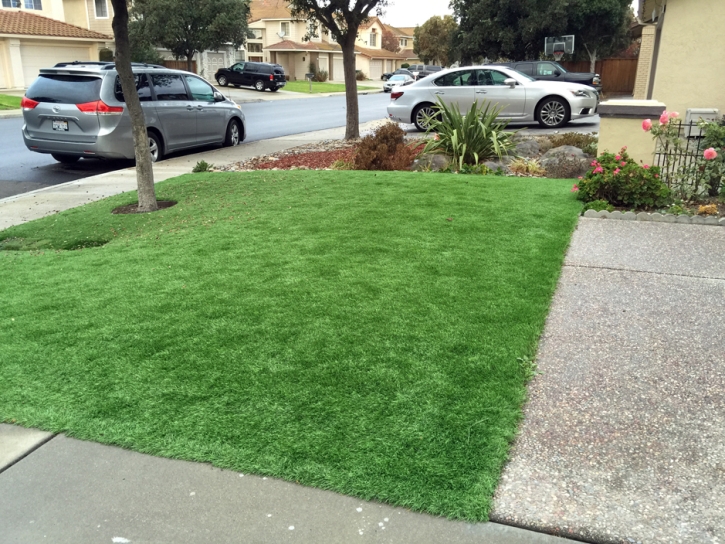 Green Lawn Potwin, Kansas Landscaping, Front Yard Ideas