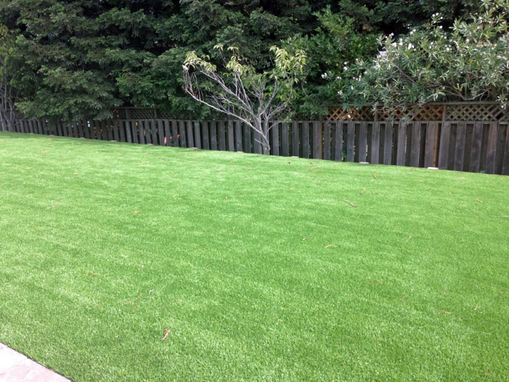 How To Install Artificial Grass Spring Hill, Kansas Landscape Photos, Backyard Landscape Ideas