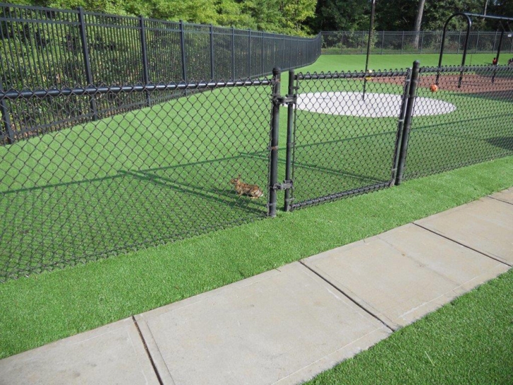 Installing Artificial Grass Alta Vista, Kansas Landscaping Business, Parks