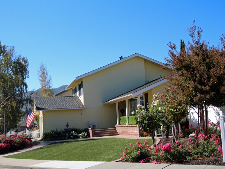 Installing Artificial Grass Sharon Springs, Kansas Landscape Ideas, Front Yard Landscaping