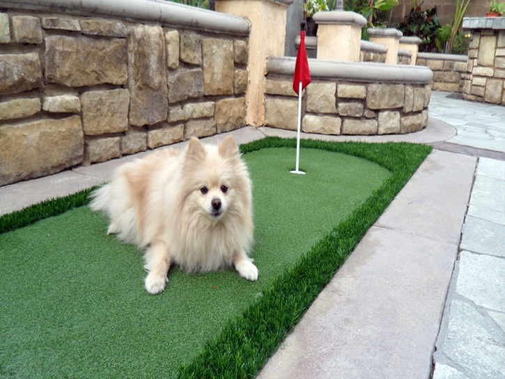 Lawn Services Hamilton, Kansas Landscaping Business, Dog Kennels