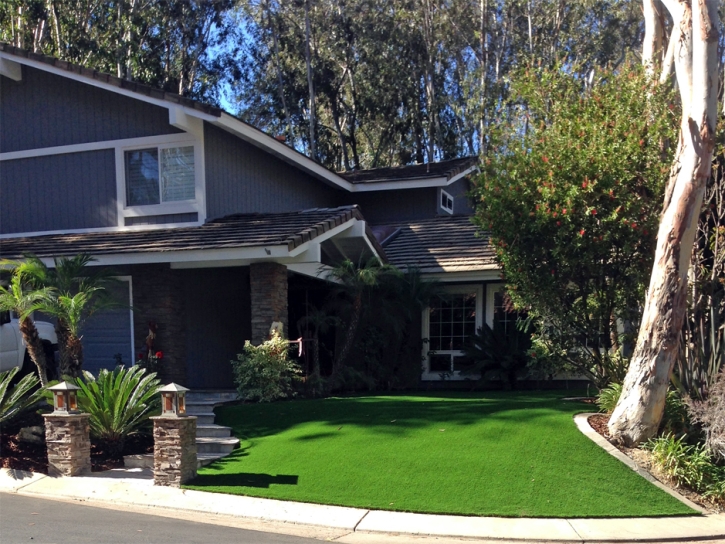 Outdoor Carpet Burns, Kansas Landscape Photos, Front Yard Landscaping