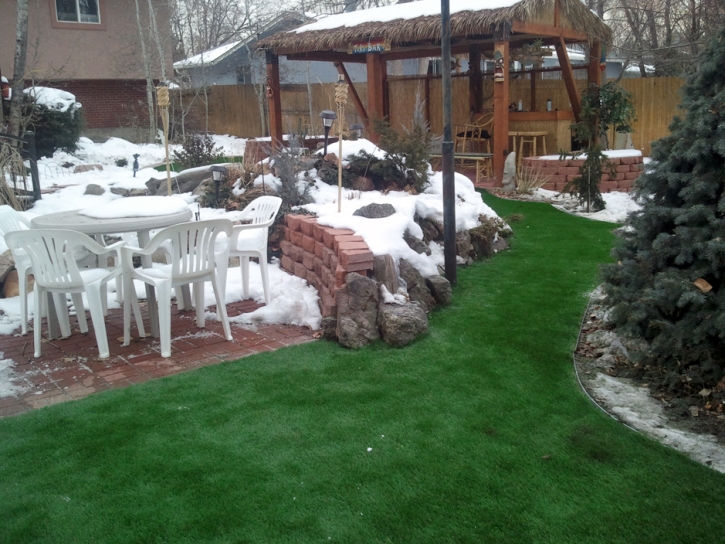 Outdoor Carpet Conway Springs, Kansas Design Ideas, Backyards