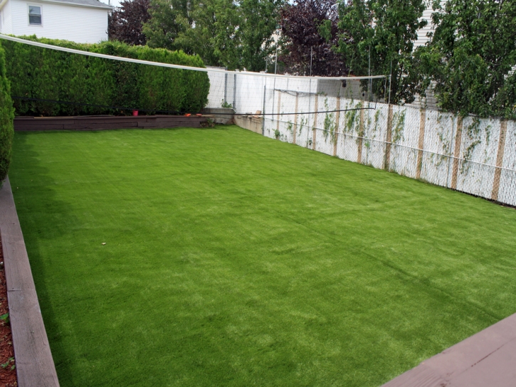 Outdoor Carpet Minneapolis, Kansas Landscape Ideas, Backyards