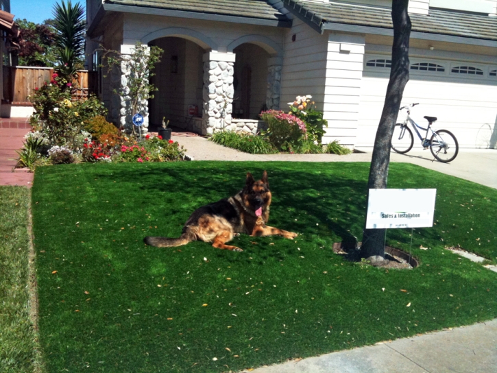 Outdoor Carpet Norwich, Kansas Lawns, Front Yard Ideas