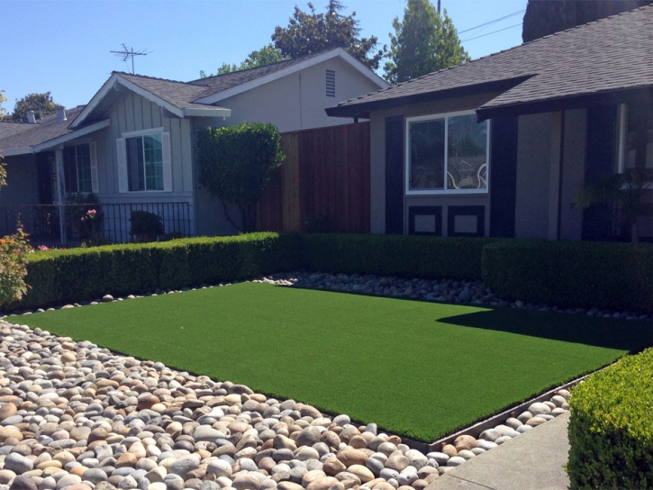 Outdoor Carpet Windom, Kansas Landscape Photos, Front Yard