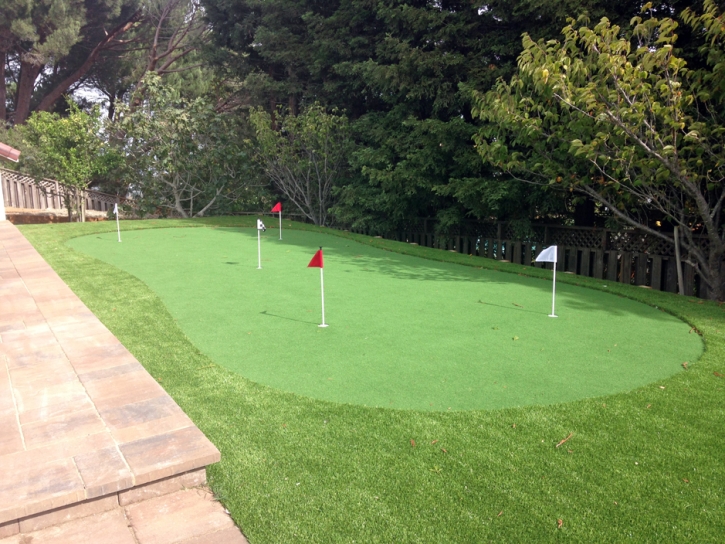 Plastic Grass Arcadia, Kansas Golf Green, Backyard Design