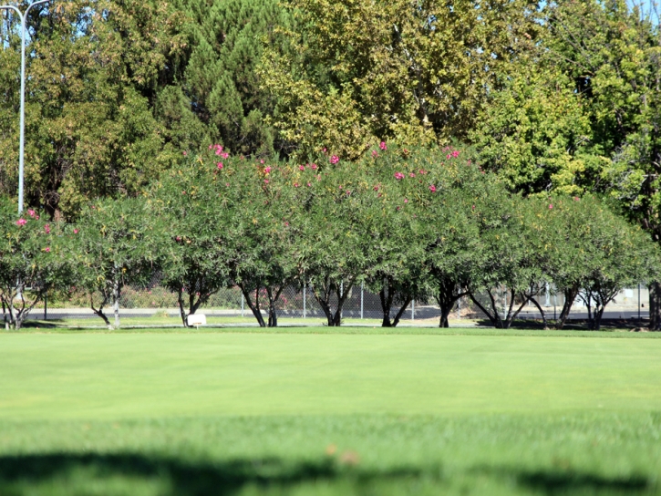 Plastic Grass Chicopee, Kansas Putting Green Flags