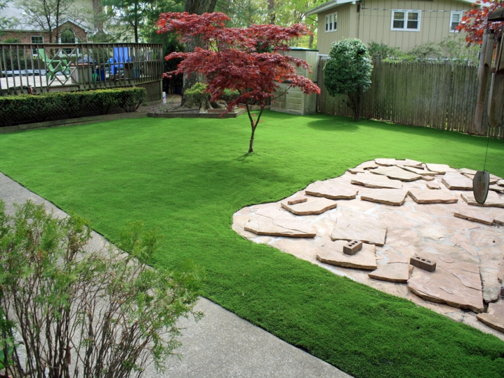 Plastic Grass Edna, Kansas City Landscape, Backyard Designs