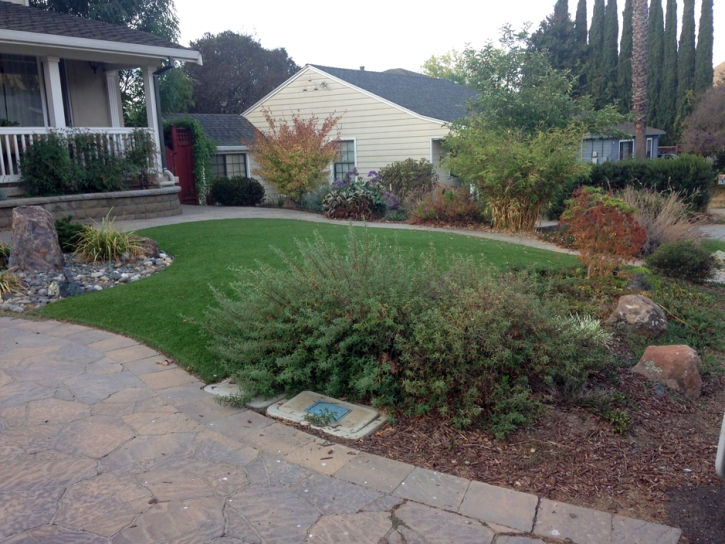 Plastic Grass Huron, Kansas Gardeners, Front Yard Landscape Ideas